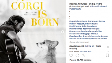 a star is born