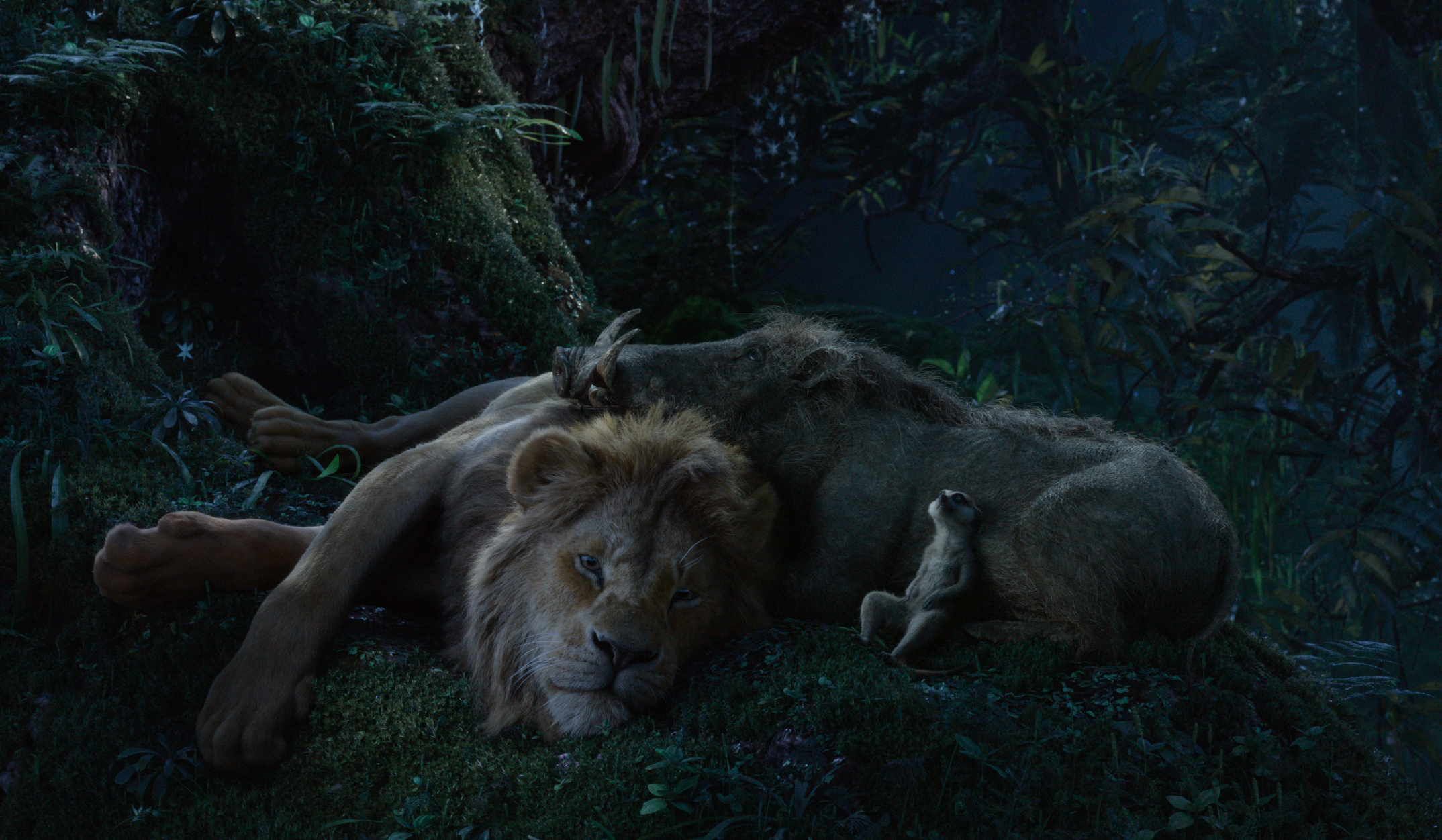 Il Re Leone', Jon Favreau e la nuova avventura iperrealista di Simba - la  Repubblica