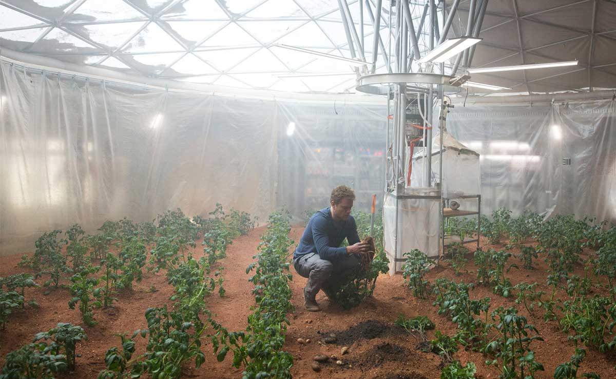 Matt Damon e le piante di The Martian