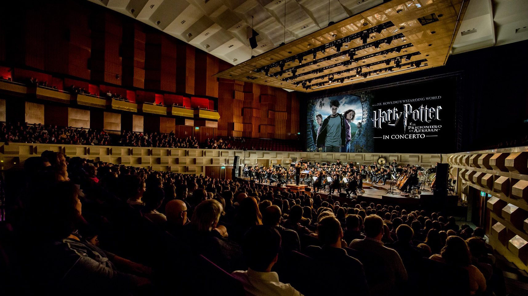 Harry potter in concerto