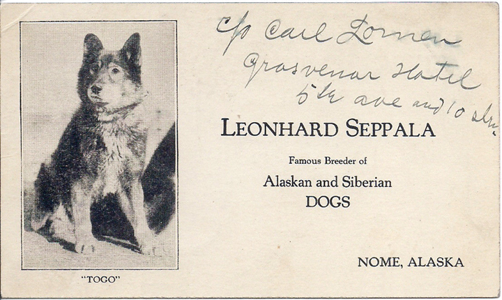 Una cartolina con Togo, autografata da Seppala