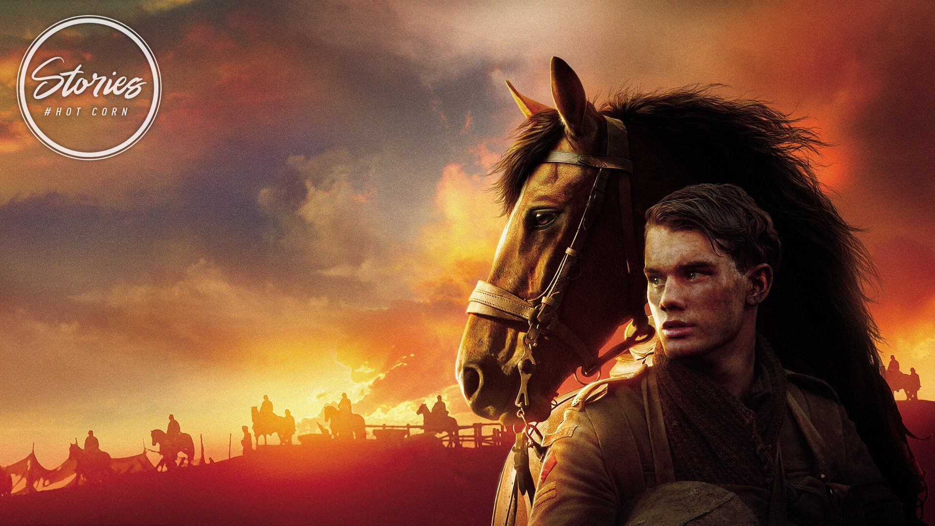 War Horse, la storia vera del cavallo che ha ispirato il film di Spielberg