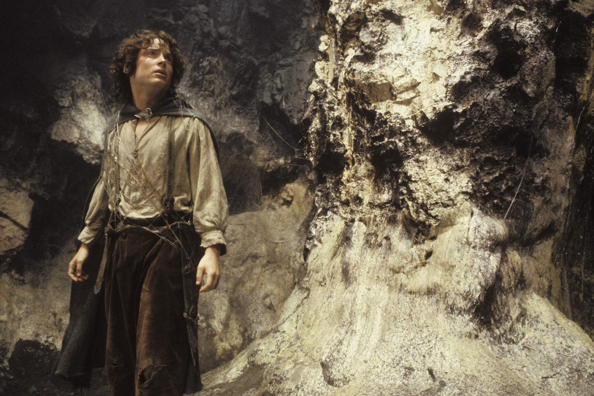 Elijah Wood è Frodo Baggins