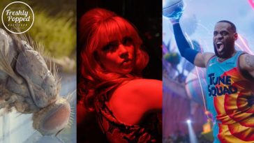 10 film imperdibili