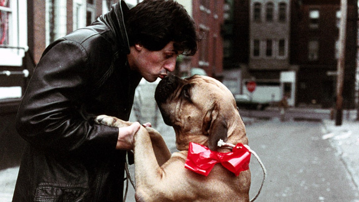 Birillo (Butkus in originale), il cane di Rocky, è il "vero" cane di Stallone