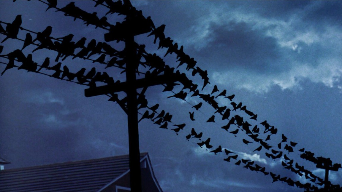 Gli Uccelli di Alfred Hitchcock fu presentato in terra statunitense il 28 marzo 1963