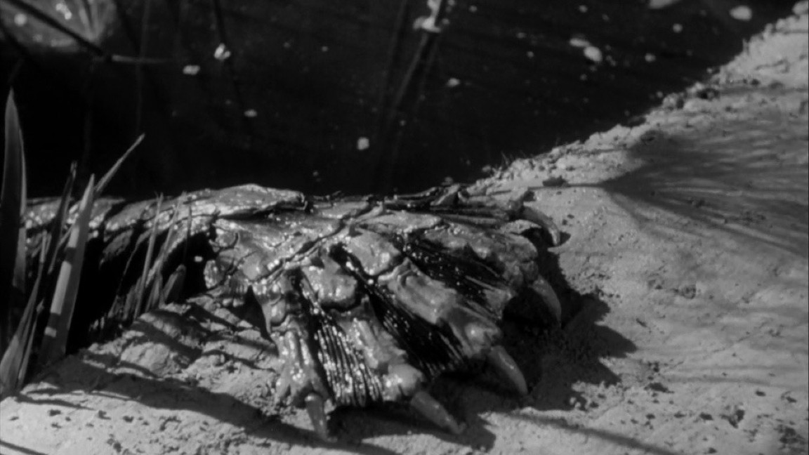 Il mostro della laguna nera di Jack Arnold fu presentato in terra statunitense il 12 febbraio 1954