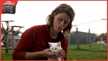 Lisa Humblot e la gattina Celine in una scena del dietro le quinte di Vita da Gatto, al cinema dal 18 aprile con Plaion Pictures