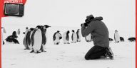 Una scena di Viaggio al Polo Sud, un documentario di Luc Jacquet, dal 13 giugno al cinema con Movies Inspired