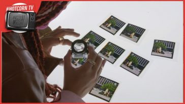 Un estratto da Seeking Mavis Beacon, documentario di Jazmin Renée Jones, prossimamente nelle sale statunitensi con NEON