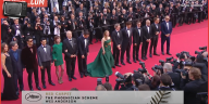 Wes Anderson e il cast del film sul red carpet